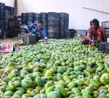 Indian mangoes prove a hit in Washington