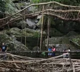 PM Modi highlights Meghalaya's living root bridges in 'Mann Ki Baat', lauds conservation efforts