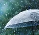 Andhra Pradesh widespread rains due to effect of two troughs
