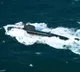 India on alert for Pakistani submarine's return foray to Bay of Bengal
