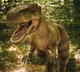 Dinosaurs history changed with one bone how the secret was revealed