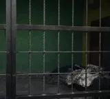 Pakistan: 14 prisoners escape from prison van in Rawalpindi