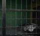 Pakistan: 14 prisoners escape from prison van in Rawalpindi