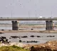 Indus River Crisis Report Blames Pakistan Internal Failures