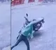 Abhishek Banerjee house attacked with stones CCTV footage goes viral