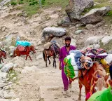 Amarnath Yatra 2026: Pilgrims arrive in Srinagar as registration, RFID process begins in Jammu
