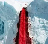 Antarctica Blood Falls the real story behind the red color