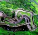 Lohagad Fort history and secrets of Shivaji Maharaj favorite iron fort