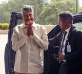 Andhra ahead of other states in green energy production: CM Naidu