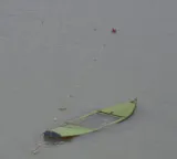 Seven killed after tourist boat capsizes in Pakistan's Khyber Pakhtunkhwa