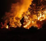 Wildfire rages in Spain, scorching 2,300 hectares of land