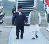 In special gesture, Indonesian President welcomes PM Modi at Jakarta airport