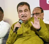 Name one car affected by E20 petrol: Nitin Gadkari