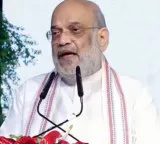 HM Shah hails Delhi's plantation drive, says Ridge will be transformed into city's 'green lungs'