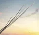 War flames intensify in West Asia US powerful airstrikes on Iran