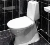 Gastrocolic Reflex Understanding the causes of bowel movements after meals