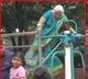 Elderly woman gym workout in saree viral video sparks safety debate