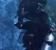 Rashmika Mandanna completes massive underwater action sequence for Maaisa movie