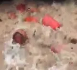 Maha monsoon fury: Around 3,000 LPG cylinders swept into river in Raigad after HPCL plant wall collapses