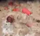 Maha monsoon fury: Around 3,000 LPG cylinders swept into river in Raigad after HPCL plant wall collapses