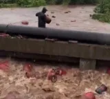 3000 LPG cylinders washed away in floods warning issued to public