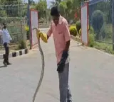 Massive snake in Tirumala Devotees terrified