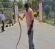 Massive snake in Tirumala Devotees terrified