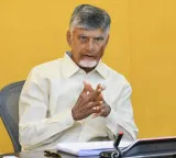 Chandrababu Naidu appoints TDP NRI National Committee here is the full list