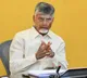 Chandrababu Naidu appoints TDP NRI National Committee here is the full list