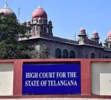 Fatima Owaisi Institution Case High Court Questions Government Report