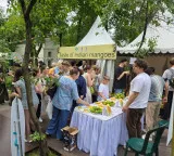 Indian mangoes to arrive in Russian stores, Embassy organises festival