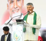 Pawan Kalyan has many fans so I advised him to rest says CM Chandrababu Naidu