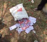 Sensation in Hyderabad as 500 Voter Cards found on the road