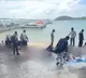 Vietnam boat tragedy: Mortal remains of 15 Indians to be repatriated today