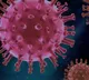 Andhra Pradesh COVID-19 resurgence four deaths reported