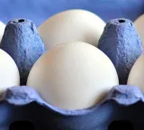 Egg Prices hit all time record and here are the reasons