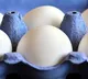 Egg Prices hit all time record and here are the reasons