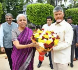 Chandrababu Naidu requests Nirmala Sitharaman to support aqua tobacco farmers and fund horticulture hub