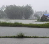Low pressure continues in Bay of Bengal rains in AP tomorrow