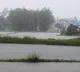 Low pressure continues in Bay of Bengal rains in AP tomorrow