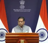 Terror sponsor Pakistan has no locus-standi to comment on India's internal matters: MEA