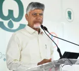 Chandrababu Naidu says people cleaned political trash in 2024 elections