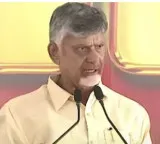 Chandrababu Naidu reacts seriously to woman assault and suspends TDP member
