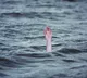Tragedy at Odalarevu Beach Three youths drown in the sea