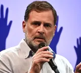 'Could have cut short foreign visit to meet Wangchuk': NDA on Rahul Gandhi's remarks