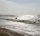 Immense power in ordinary water Indian origin physicist sensational proposal