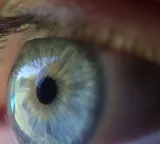 Eye Health Tips To Protect Your Eyes From High Screen Time