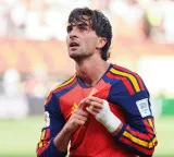 Torres says fate favoured Spain in World Cup final