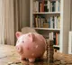 NRI inflows in India to lift deposit growth to 15 pc in FY27: Report