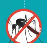 India approves first dengue vaccine QDENGA for people aged 4-60 years